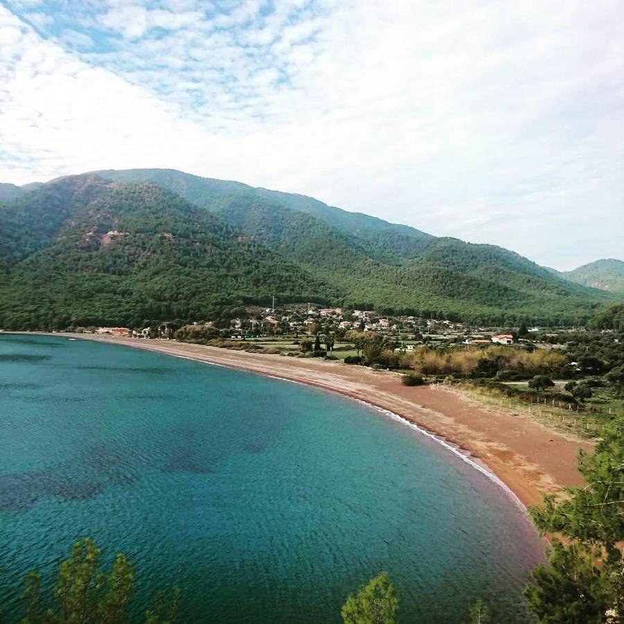 Olive Tree Apart Hotel Mugla Eksteriør bilde