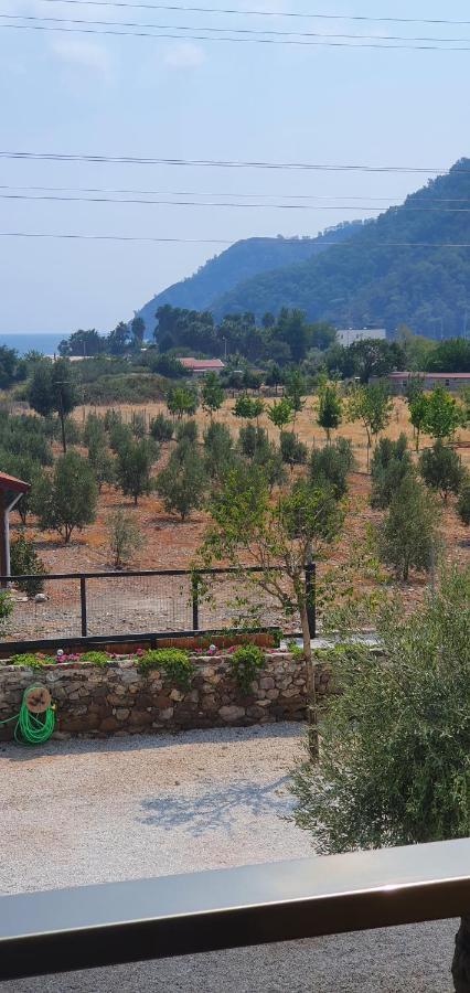 Olive Tree Apart Hotel Mugla Eksteriør bilde